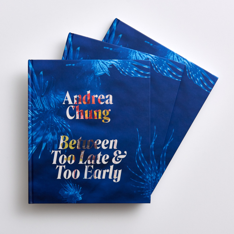 Andrea Chung: Between Too Late and Too Early