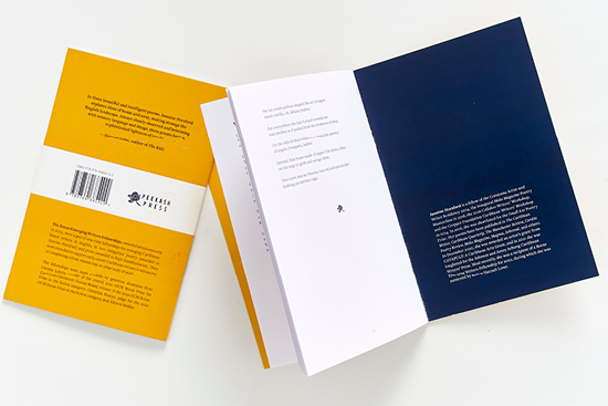 archer_peekash chapbooks5