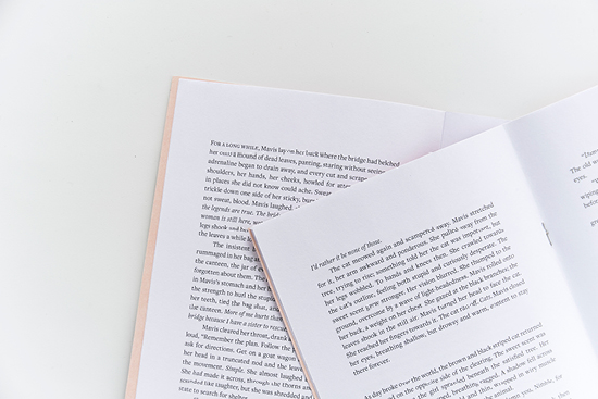 archer_peekash chapbooks8