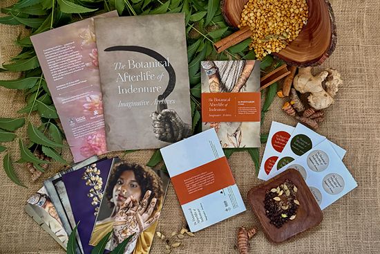 archer_botanical afterlife