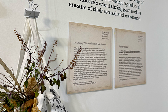 archer_botanical afterlife10