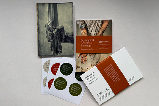 archer_botanical afterlife6