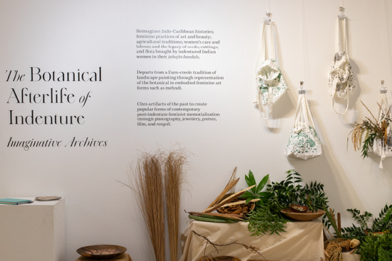 archer_botanical afterlife9